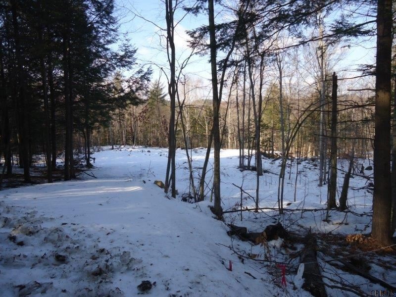 0 Parker Rd unit 201425381, Hadley, NY 12835 - photo 1