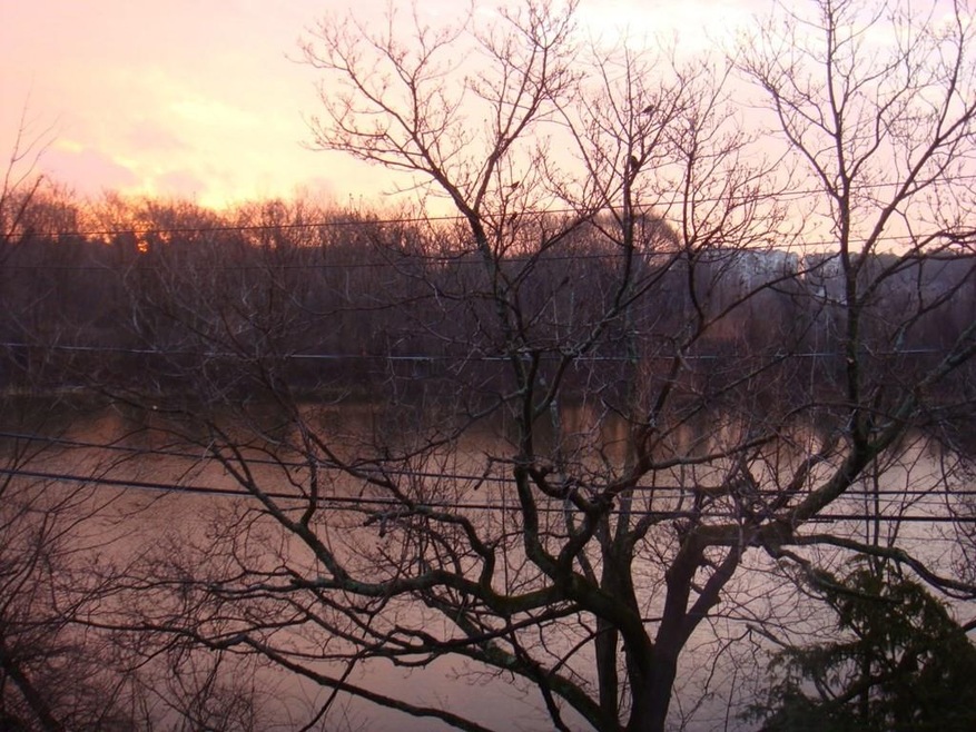 1105 Lexington St unit 10-10, Waltham, MA 02452 - photo 1