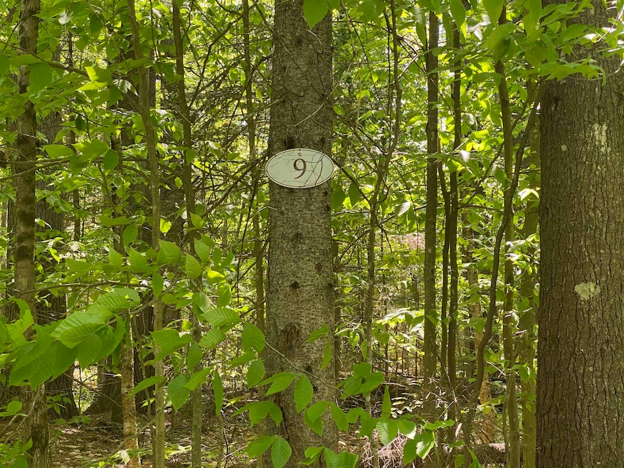 9 Oak Ln unit Lot 55 and 56, Grantham, NH 03753 - photo 1