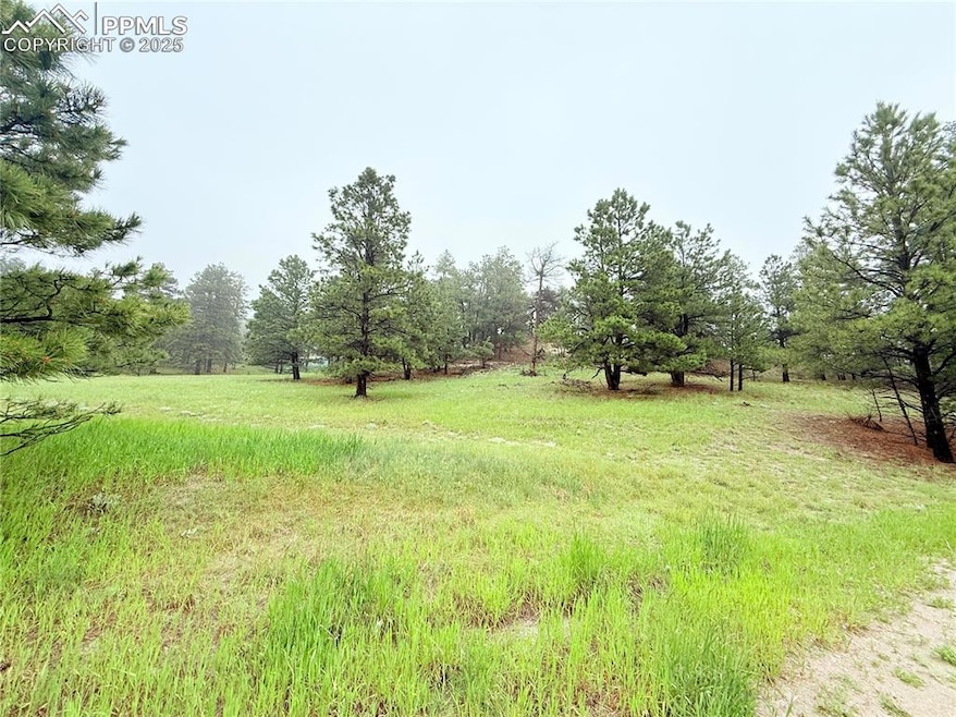 View of yard featuring a view of countryside