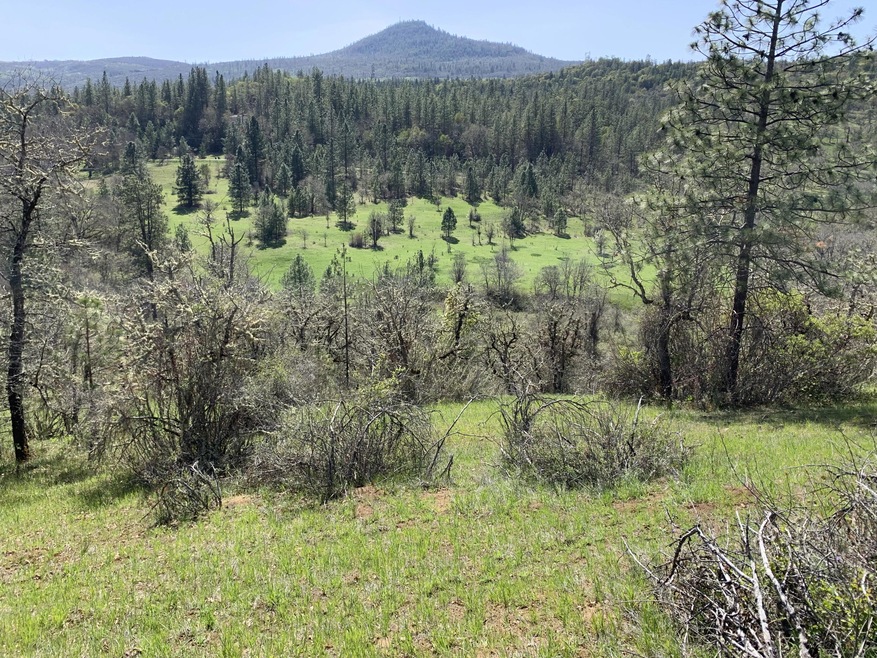 7eef339e71a6de4b-photo