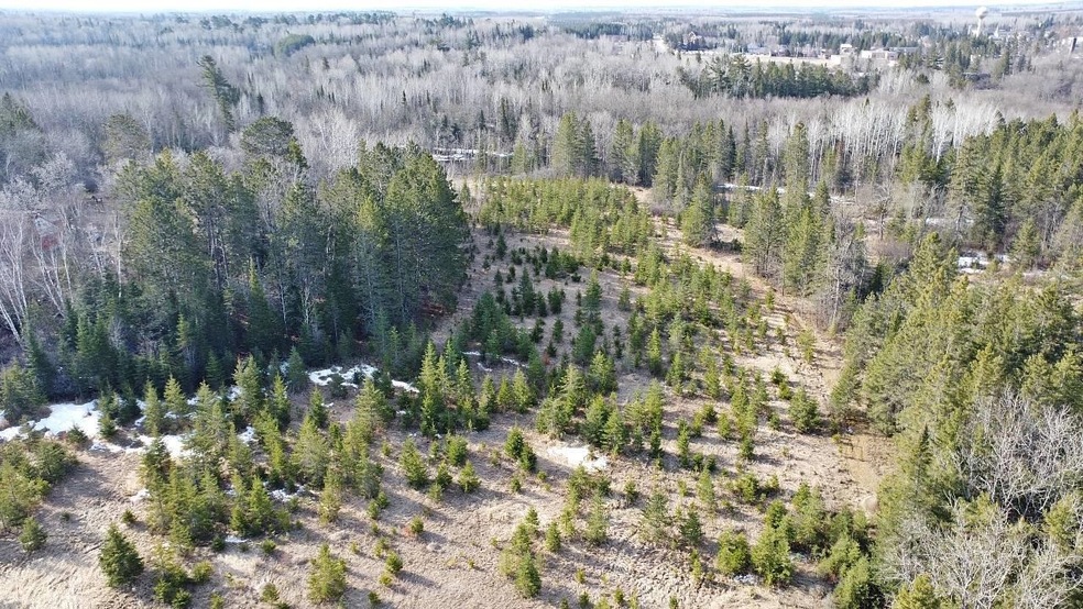 Birds eye view of property with a forest view