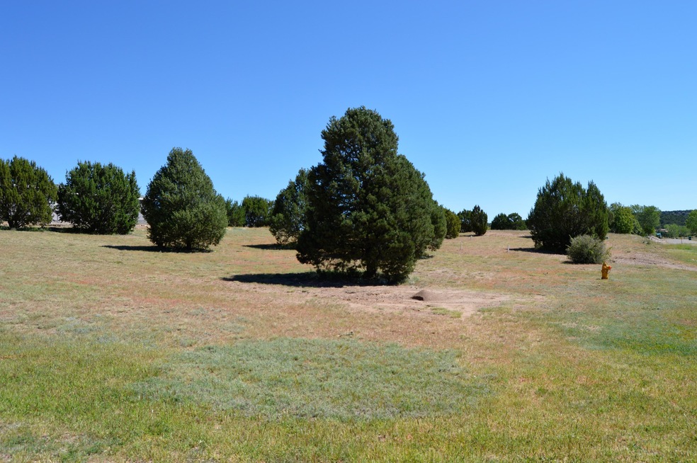 Stagecoach Land (2)