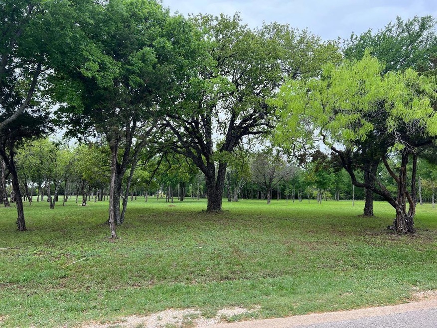 27020 Stonewood Dr, Whitney, TX 76692 - photo 1