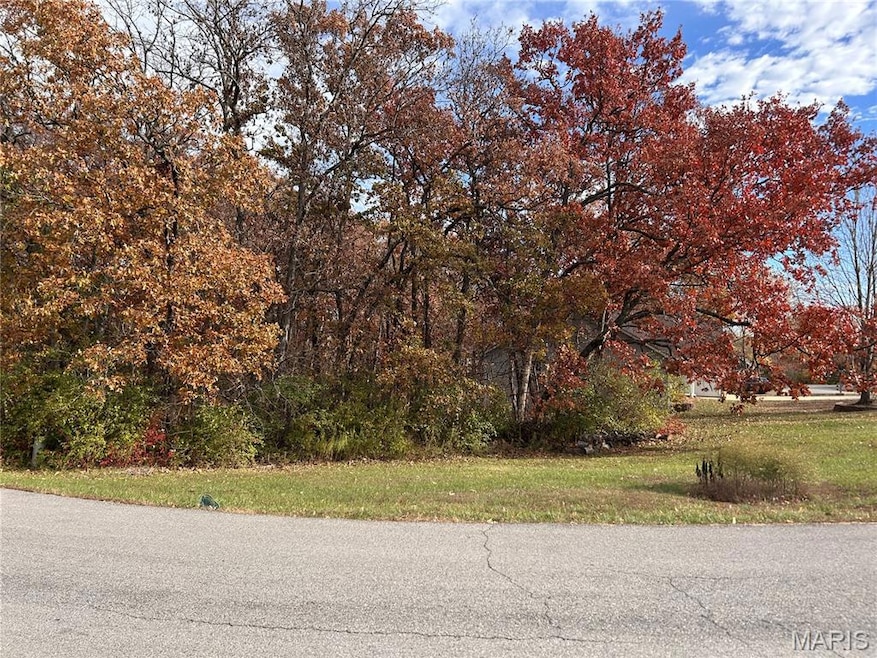 Lot 81 Village Ln, Hickory Grove Township, MO 63348 - photo 1