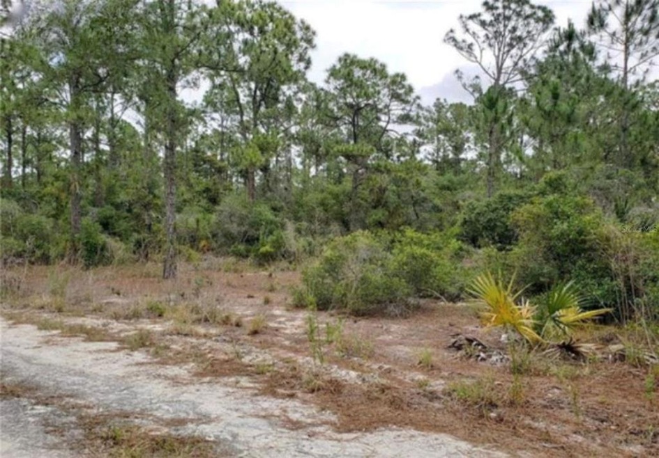 206 Suwannee Dr, Lake Placid, FL 33852 - photo 1