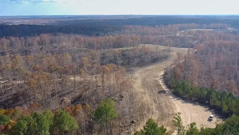 0 Firetower Rd unit 2, Centerville, TN 37033 - photo 1