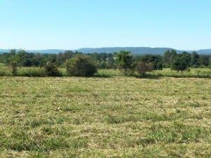 485 Wolf Springs Rd, Harrison, AR 72601 - photo 1