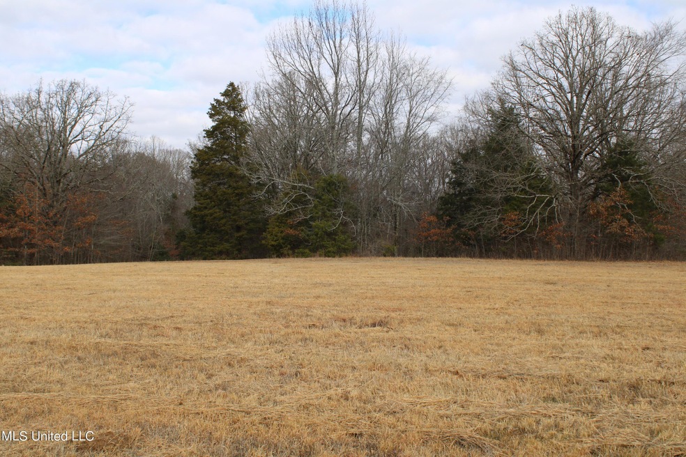 33+/- Acres Bethel Rd