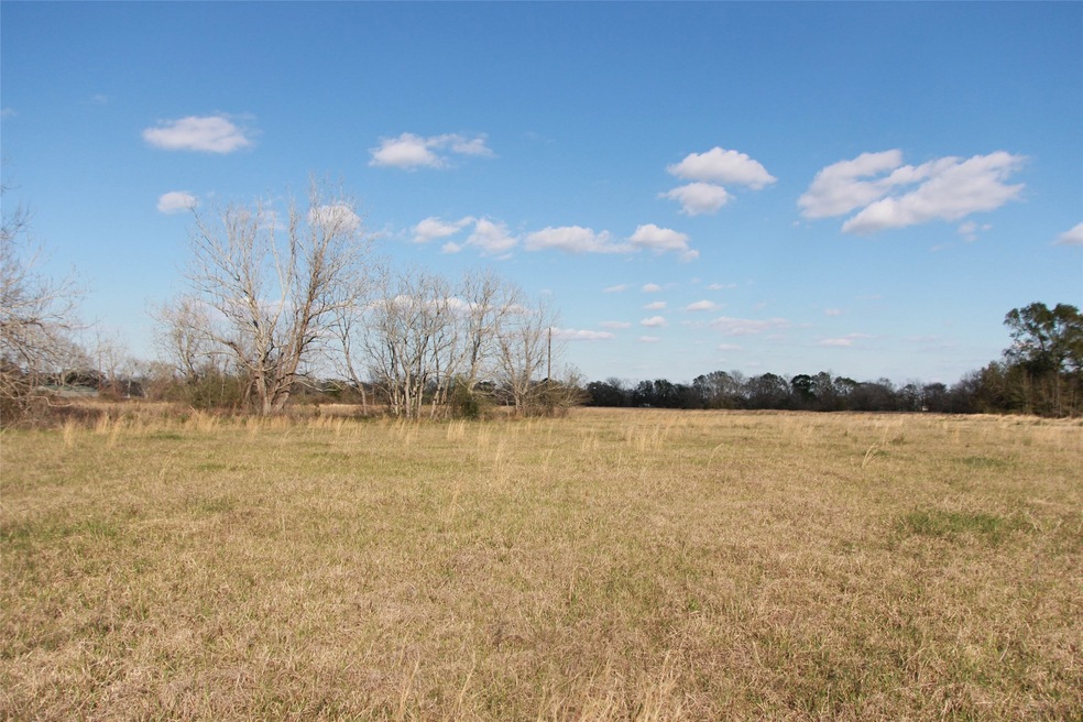 2345 County Road 315, Brazoria, TX 77422 - photo 1