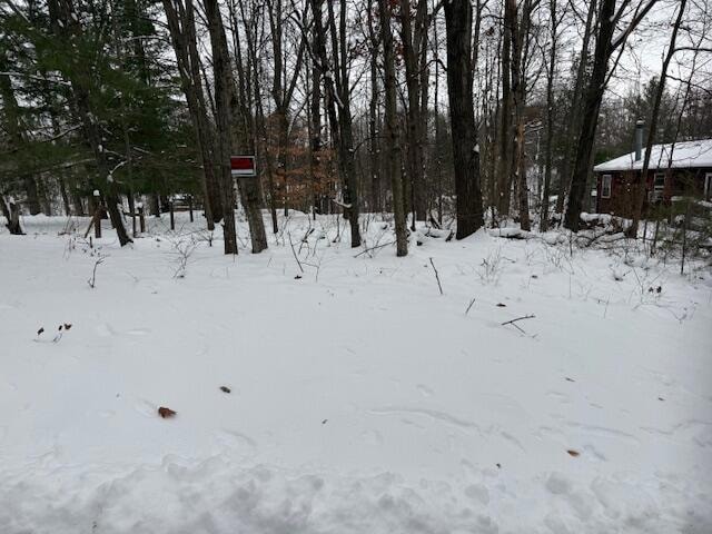 9861 E School Section Lake Dr, Morton Township, MI 49332 - photo 1