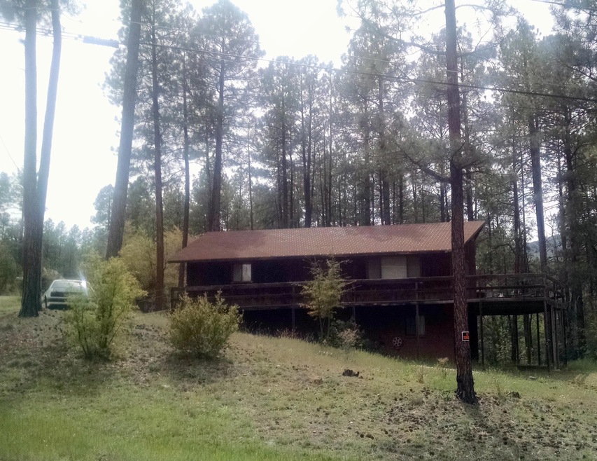 6456 W Kenny Cir, Pine, AZ 85544 - photo 1