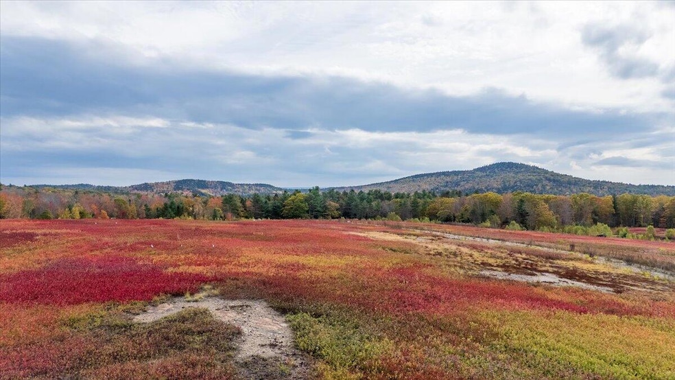 423 Beech Hill Rd, Northport, ME 04849 - photo 1