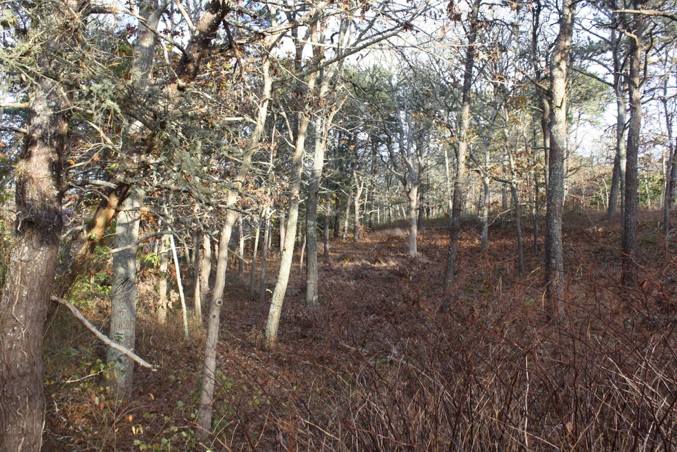 Joshua Jethro Land 2