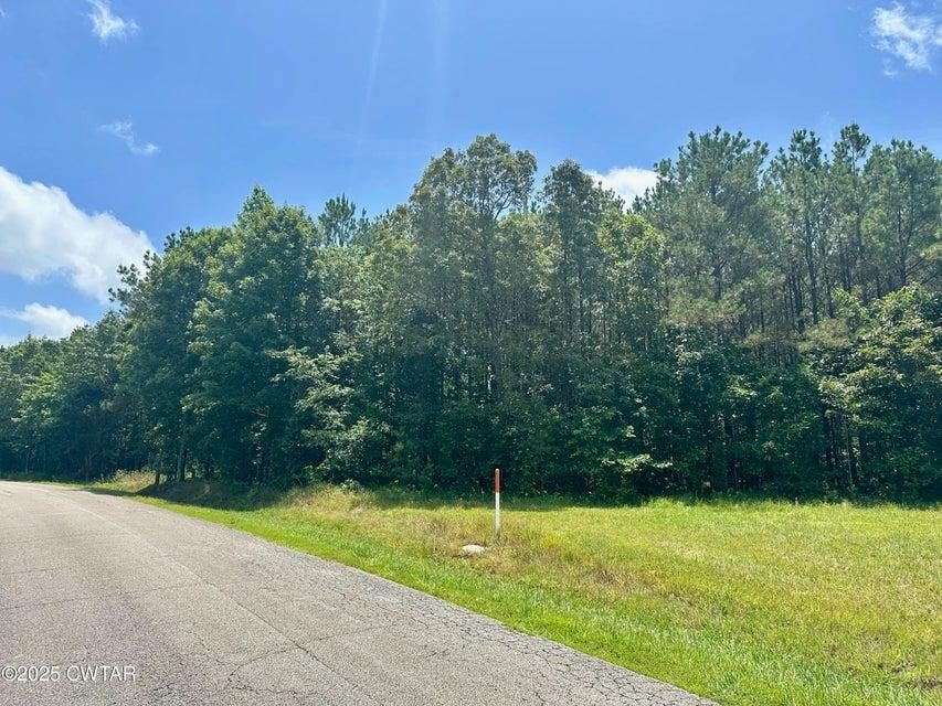 0 Moonshine Loop, Lexington, TN 38351 - photo 1