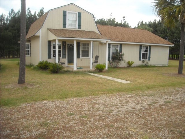 Main View