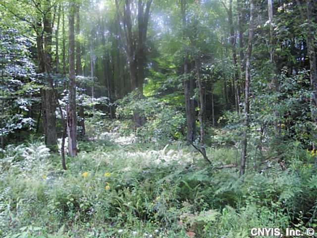 Land/Lot