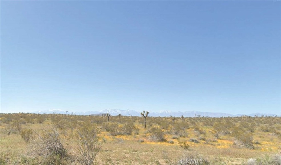 0 E 185th Ste unit SR25176134, Lancaster, CA 93535 - photo 1