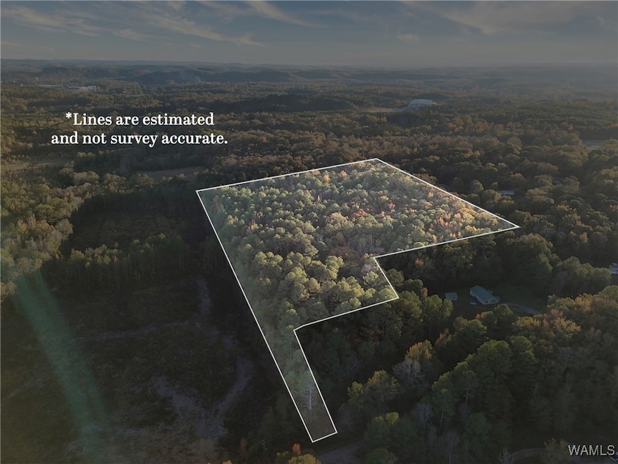 0 Pleasant Way, Jasper, AL 35501 - photo 1