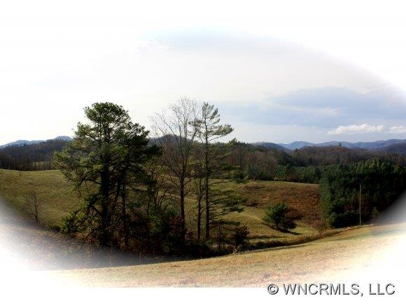 000 Watsell Dr unit 21, Leicester, NC 28748 - photo 1