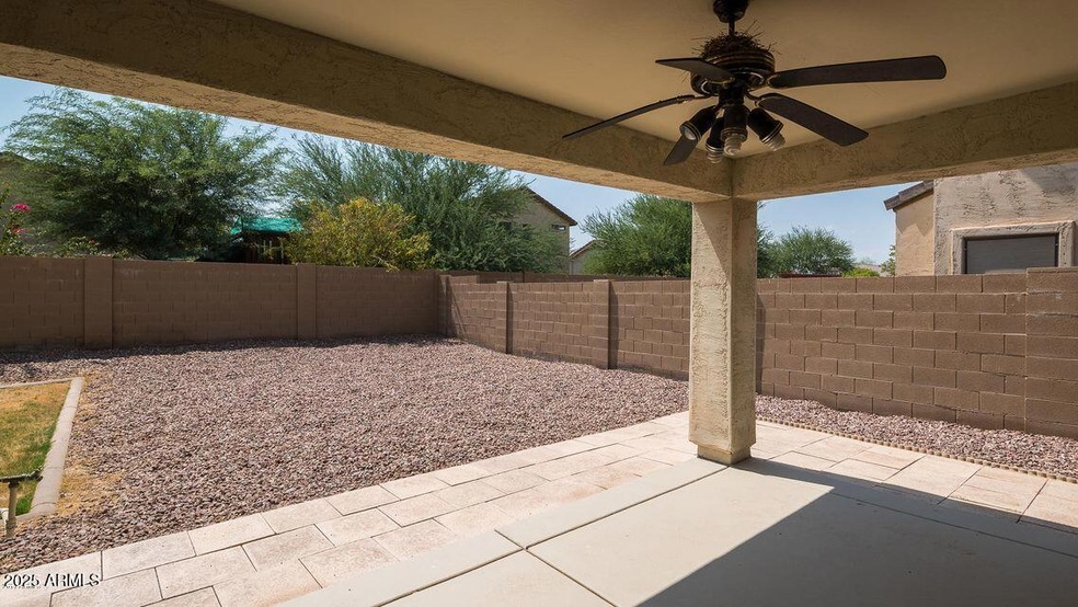 Backyard 2