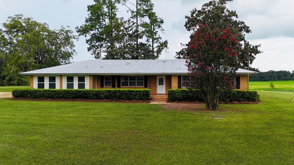 424 Grassy Flats Rd, Colquitt, GA 39837 - photo 1