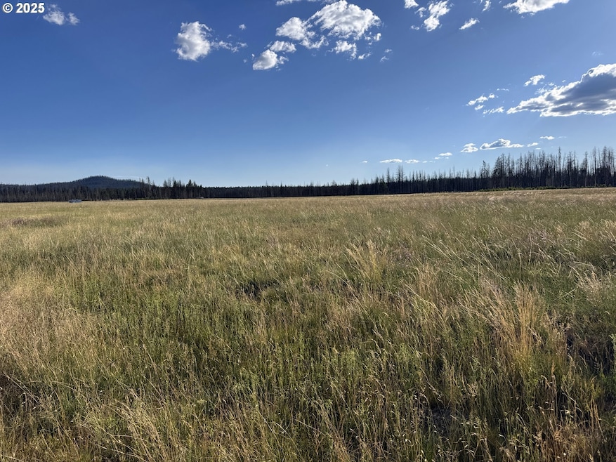 0 White Birch Way unit 10 100277061, Bly, OR 97622 - photo 1