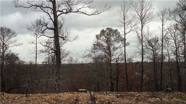 Land/Lot