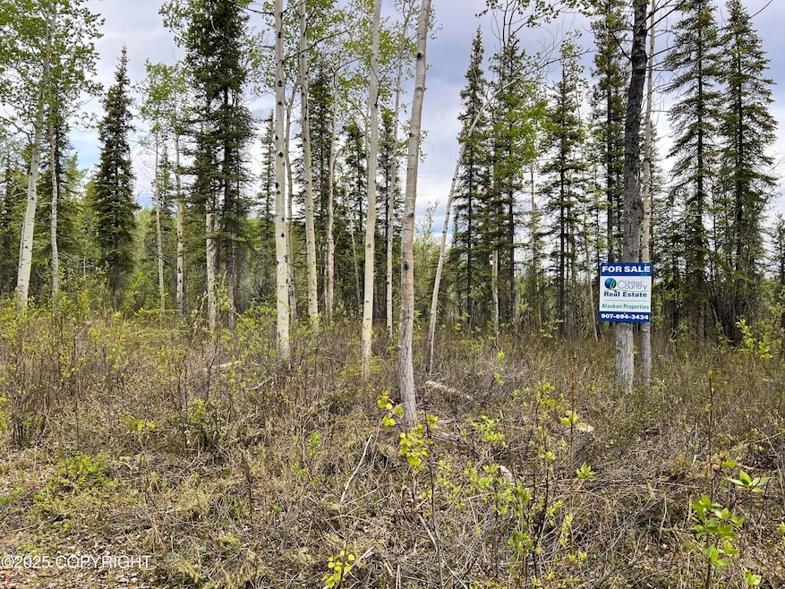 ASLS 79-251, Glennallen, AK 99588 - photo 1