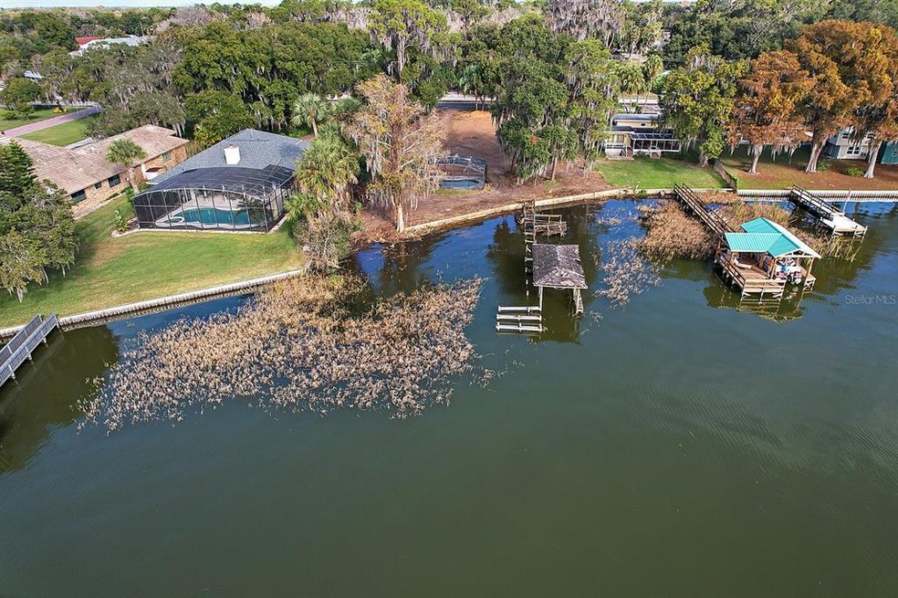 720 Lake Dora Dr, Tavares, FL 32778 - photo 1