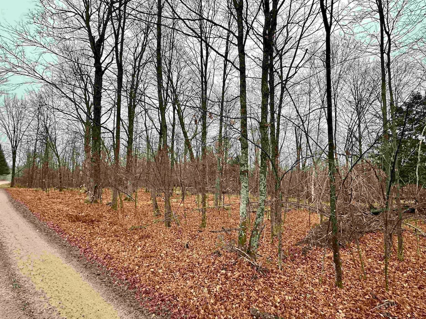 Lot 60 Chip n Dale Dr, Pickerel, WI 54465 - photo 1