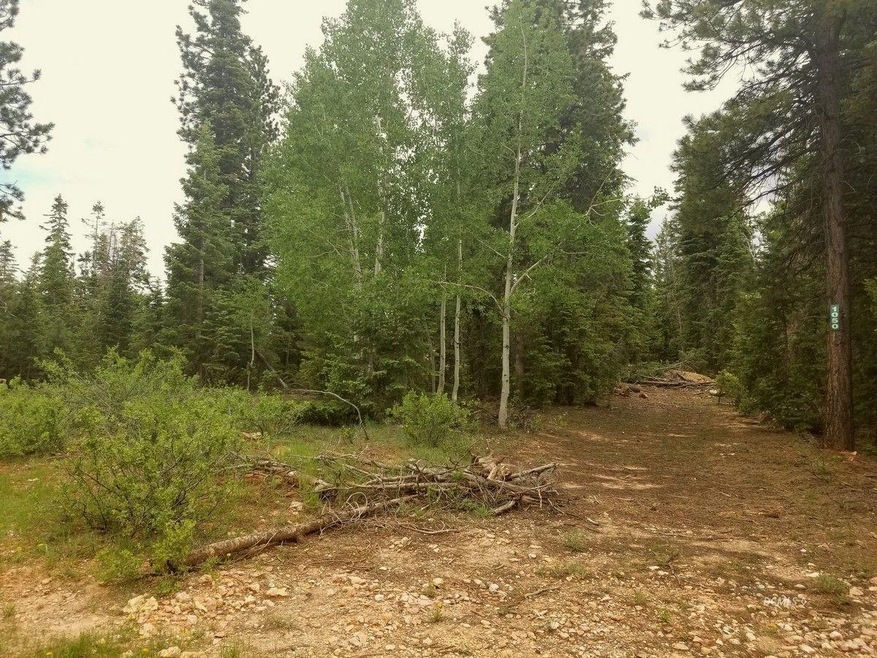 Main Picture