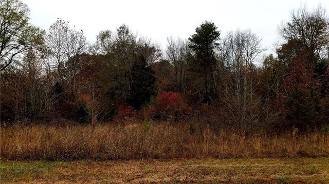 1.38 Acre Residential Lot