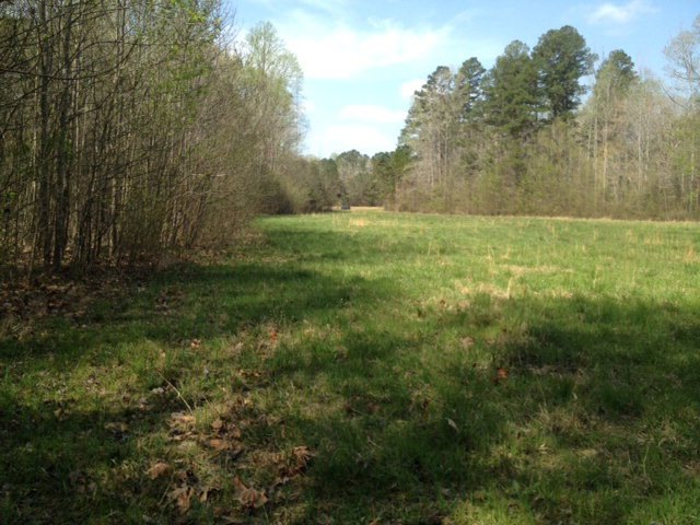 NA County Road 233, Oxford, MS 38655 - photo 1