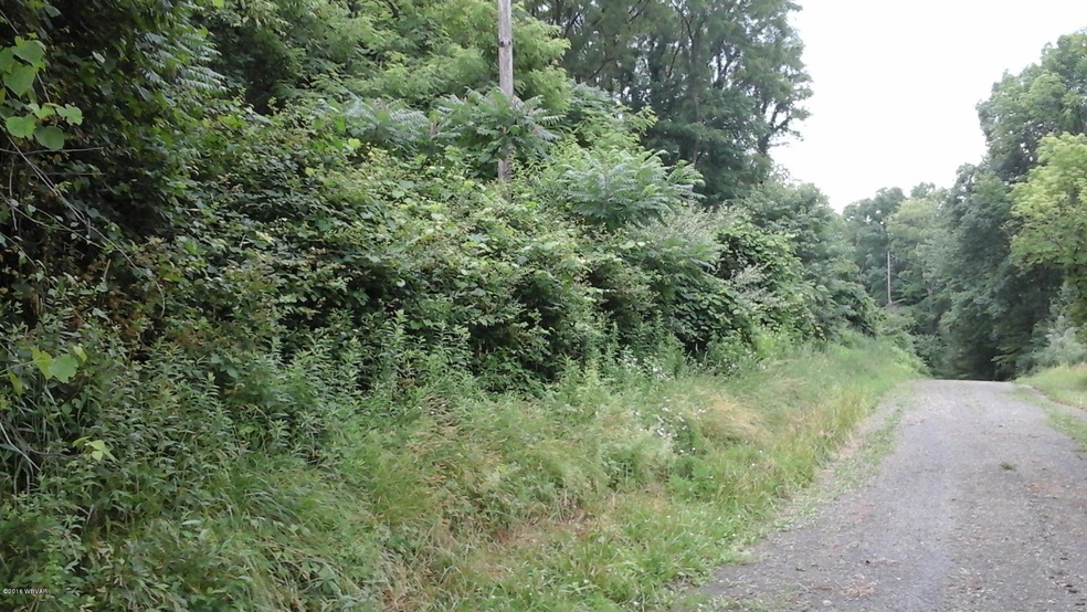 200 BLOCK Gordner Ln, Delaware Township, PA 17756 - photo 1