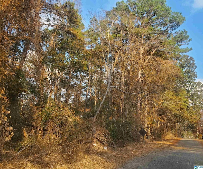 0 Longshore St, Roanoke, AL 36274 - photo 1