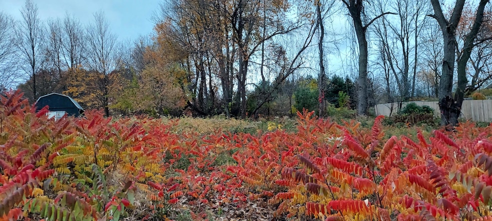 20221026_184613 (002)