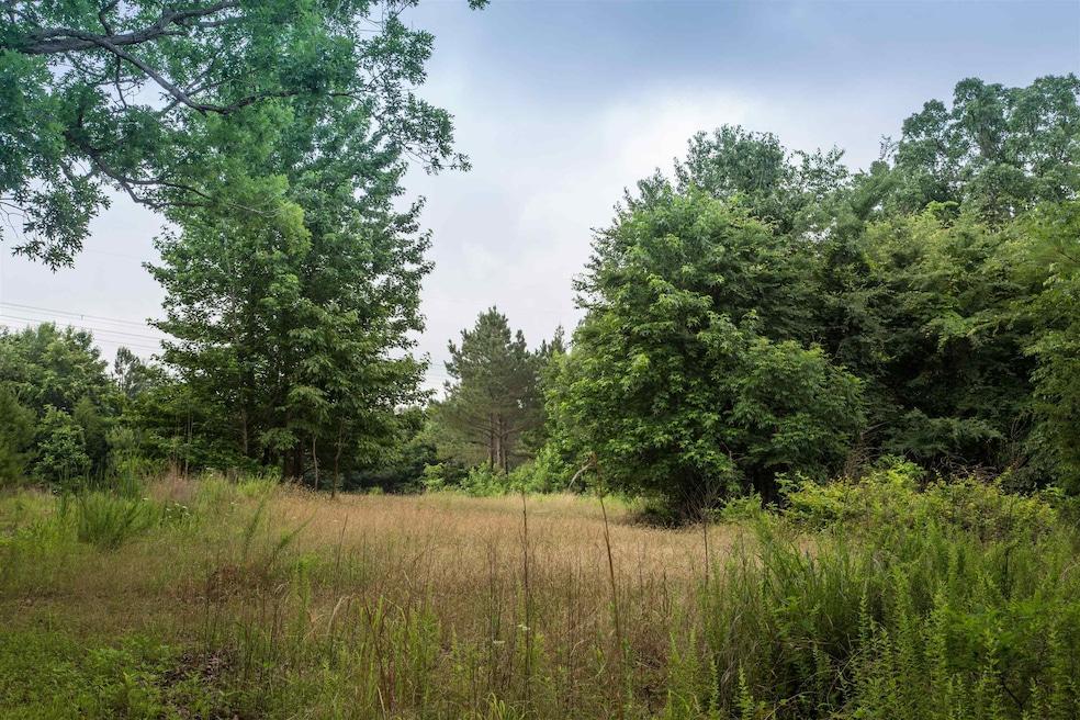 115 Baudy James Rd, Cedar Grove, TN 38321 - photo 1