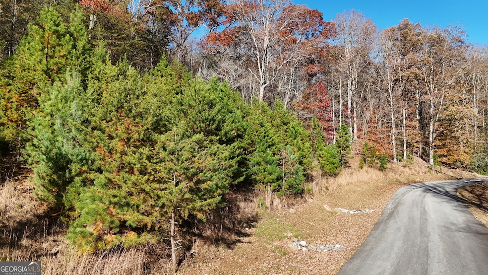 LOT 184 N Shore Dr, Cleveland, GA 30528 - photo 1