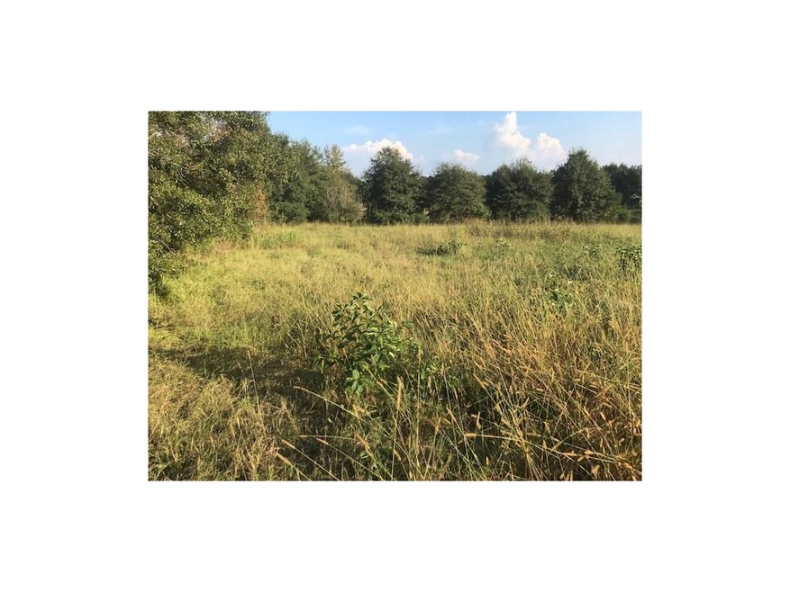 4011 Whitney Rd, Social Circle, GA 30025 - photo 1