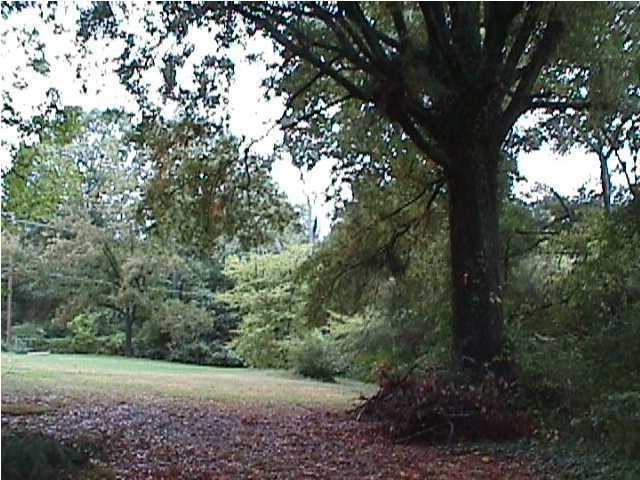 Primary Photo