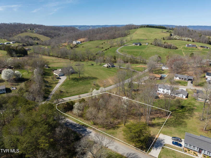 Bluebird Cr Lot line