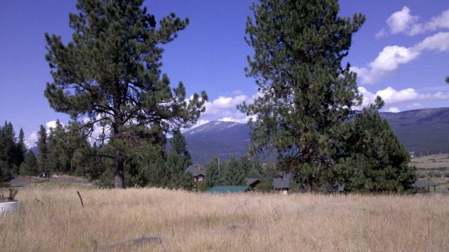 Main View