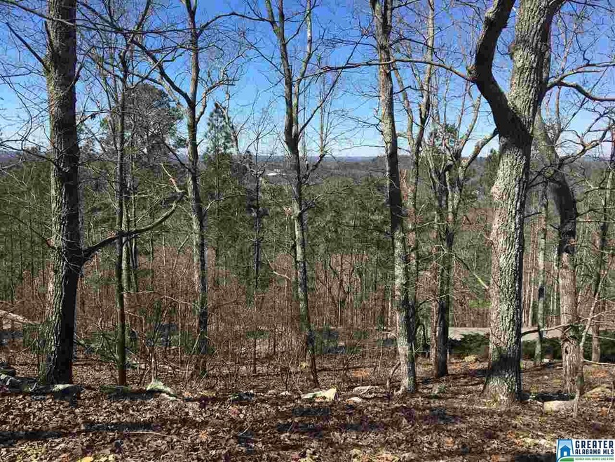 top of lot facing the front