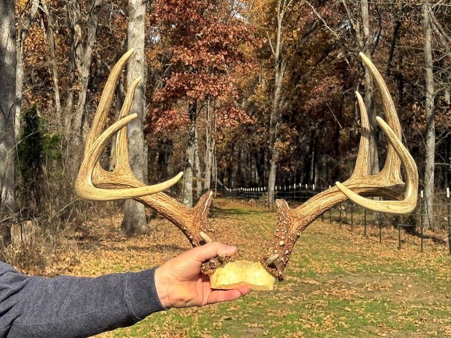 6745 E Highway Cc, Stockton, MO 65785 - photo 1