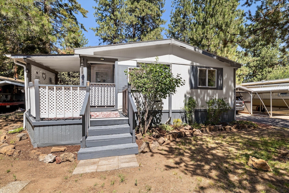 01-20250717 JILL ROSELL-22