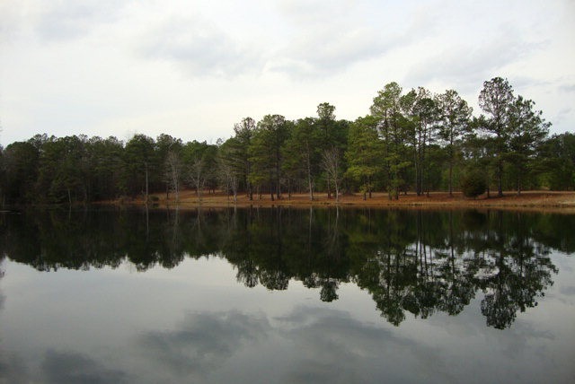 Main View