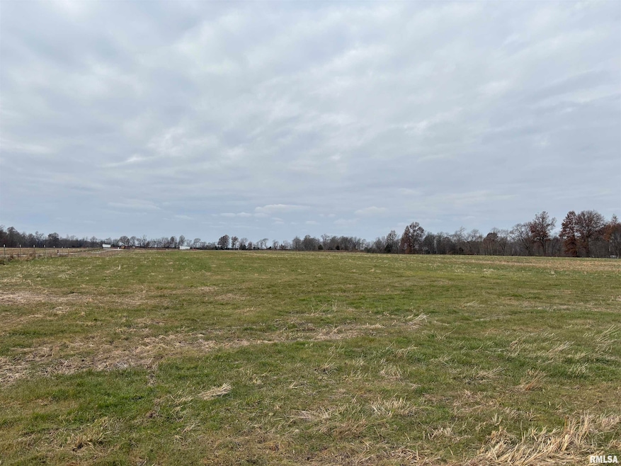 0000 N Puckett Ln, Mount Vernon, IL 62864 - photo 1