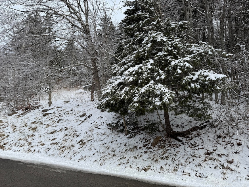 361 N Westridge Rd, Snowshoe, WV 24934 - photo 1