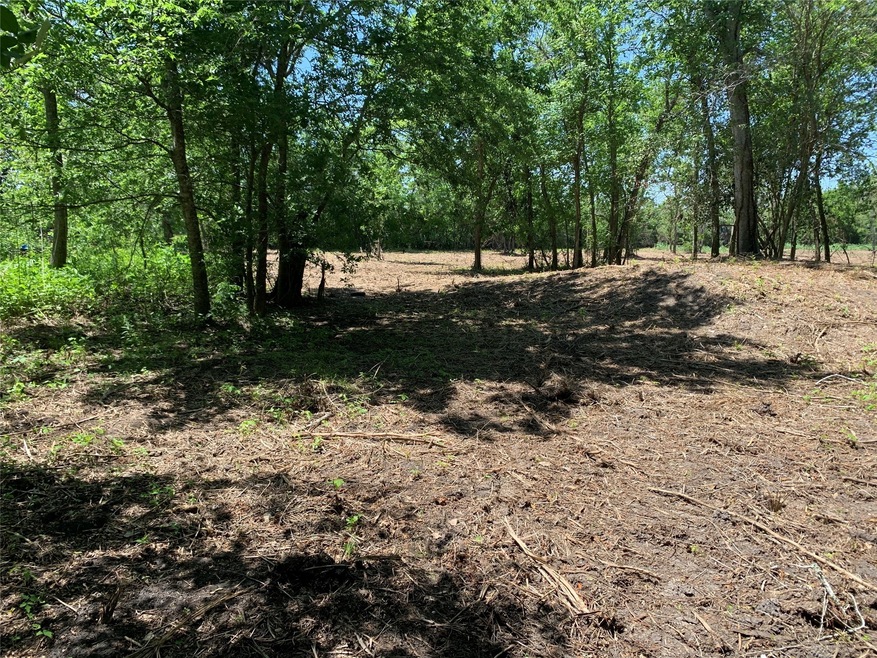 0 Highway 6 E unit 37159551, Alvin, TX 77511 - photo 1